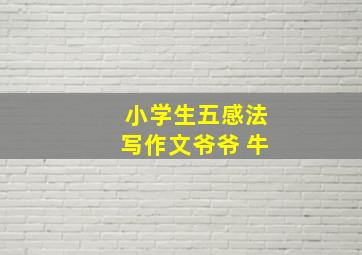 小学生五感法写作文爷爷 牛